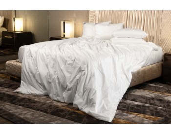 Одеяло шелковое Paisley Silk Grass легкое 240х220
